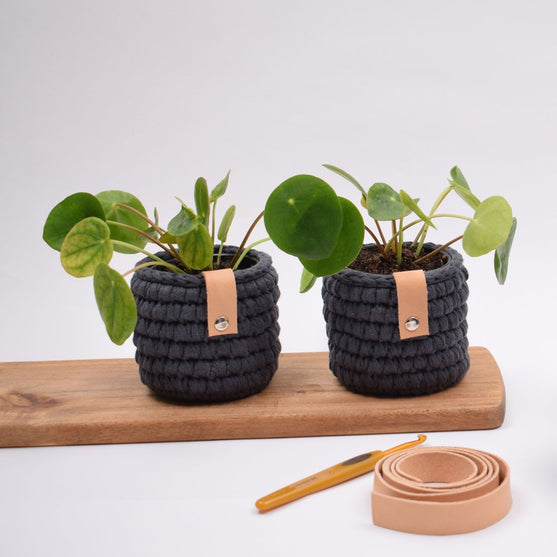 Petit Cache Pot Ribbon
2