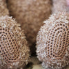 Teddy Friends
5