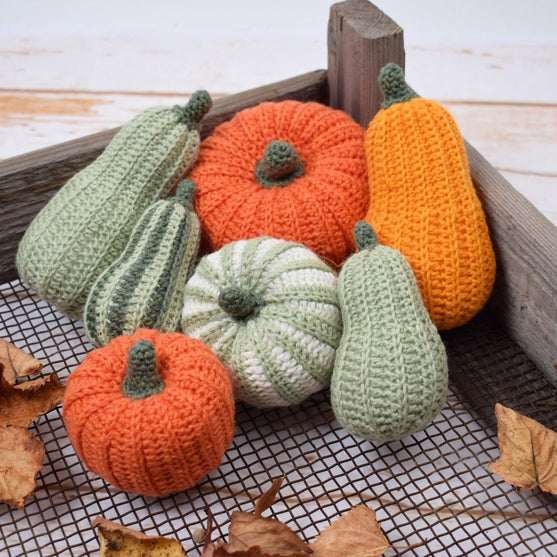 Decorative Pumpkins - Oblong
3