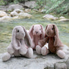Bunny Friends
1
