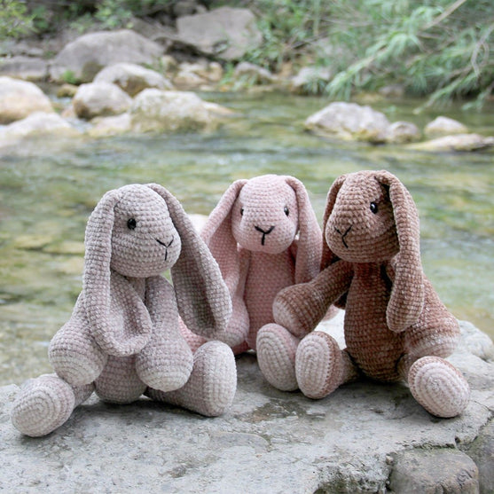 Bunny Friends
1