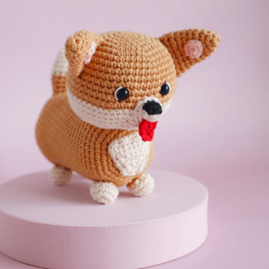Cooper le Corgi