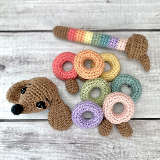 Ringo the Rainbow Dog
4