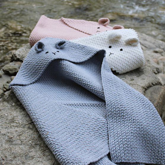Teddy Couverture
5
