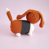 Gus the Basset Hound
6
