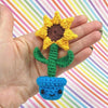 Flower Garden
4