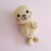 Sandy the Sea Lion
1