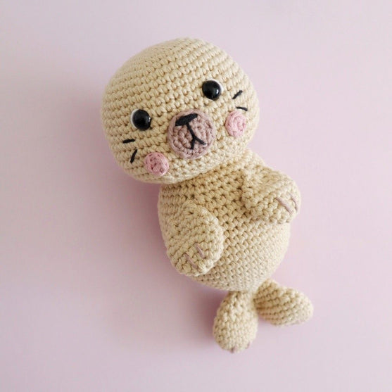 Sandy the Sea Lion
1