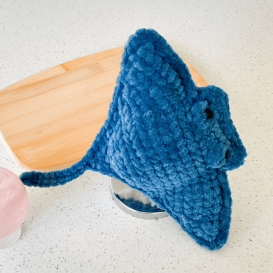 Connor the Manta Ray
2