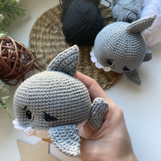 Tommy the little shark
2