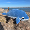 Blue Whale
1