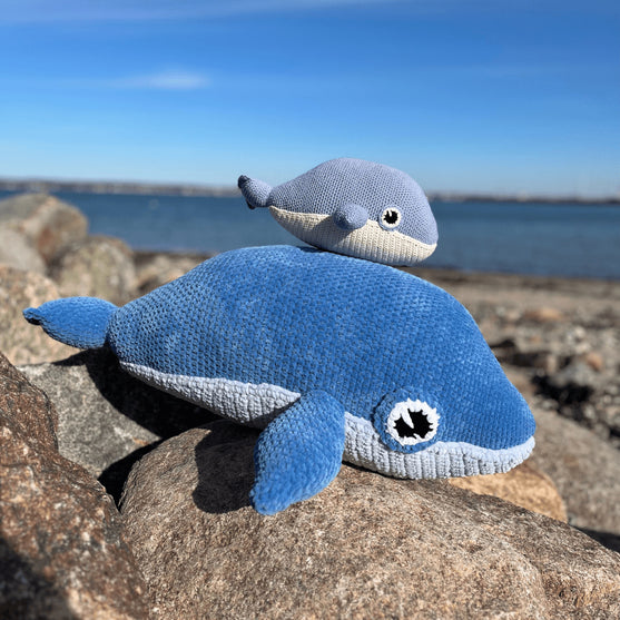 Blue Whale
3