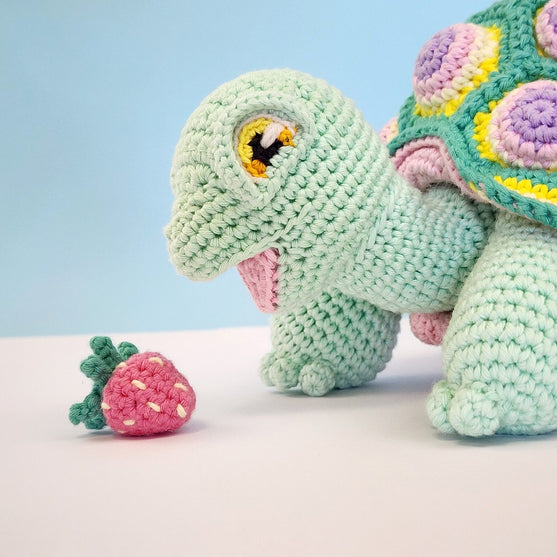 Astro the Tortoise
5