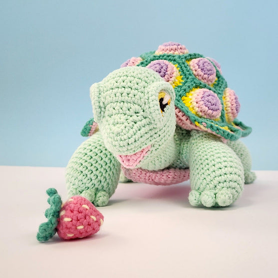 Astro the Tortoise
6