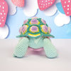 Astro the Tortoise
8