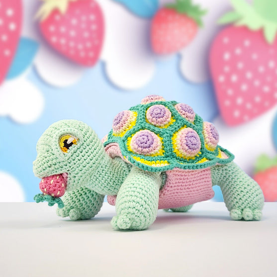 Astro the Tortoise
10