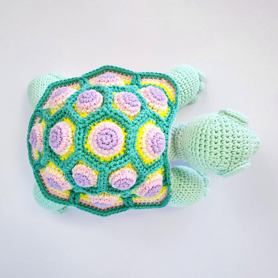 Astro the Tortoise
11