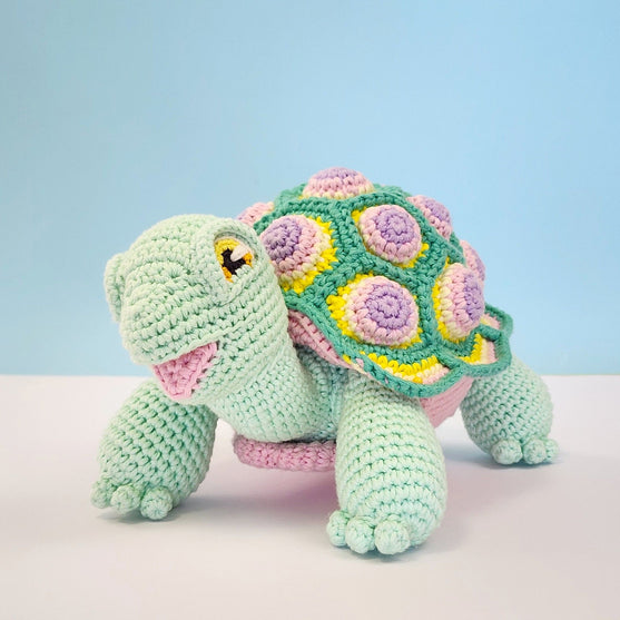 Astro the Tortoise
13