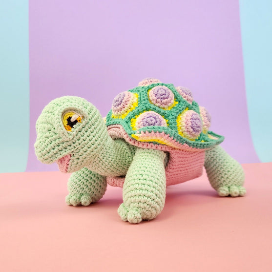 Astro the Tortoise
16