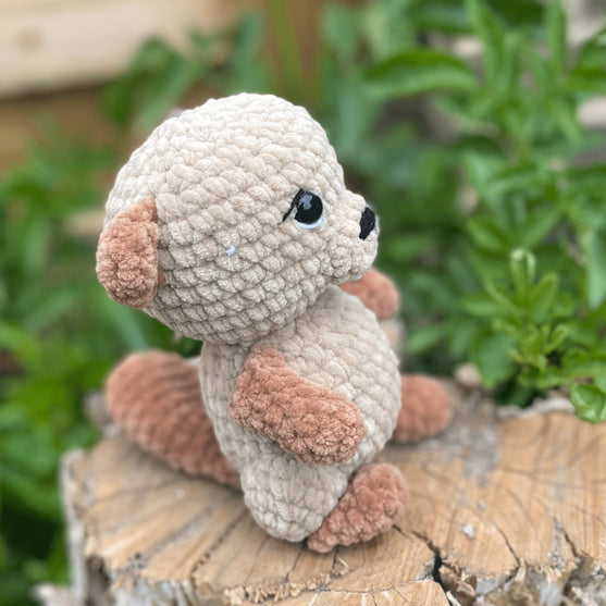 Chuck the Beaver
2