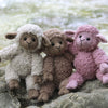 Teddy Basserne
2