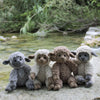 Teddy Basserne
3