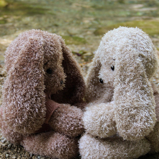 Couture Bunnies
5