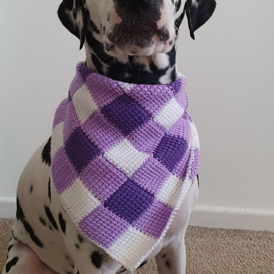 Summer Picnic - Dog Neckerchief
1