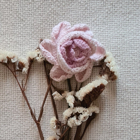 Peonie Flower
1