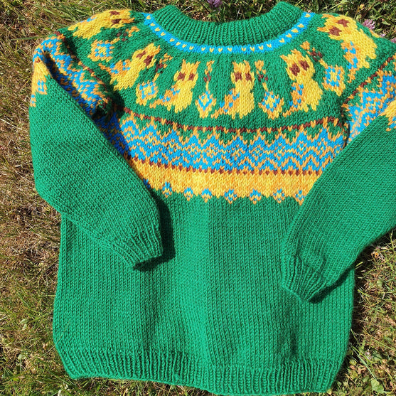 Silly Owl - Children’s sweater
2