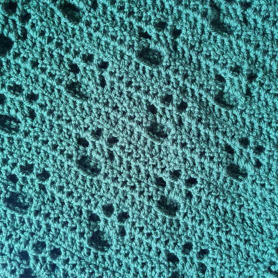 Paw Prints - Blanket
3