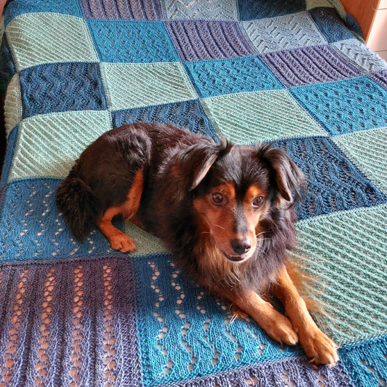 Cozy Squares - Blanket
3