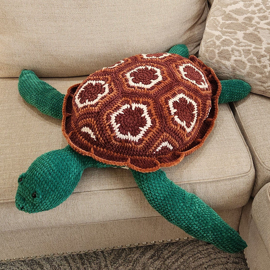 Splash the Sea Turtle
1