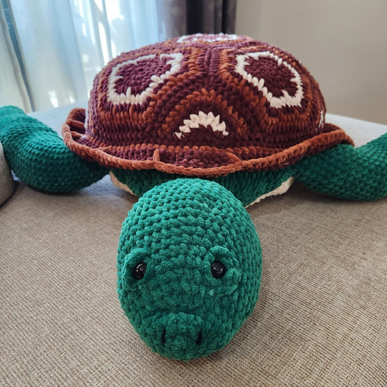 Splash the Sea Turtle
3