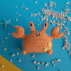 Sherman the Crab
1