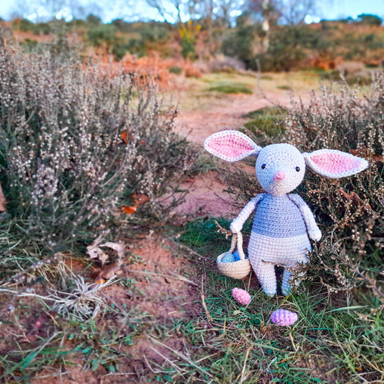Alice the Easter Bilby
1