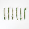 Poached Eggs & Asparagus
4
