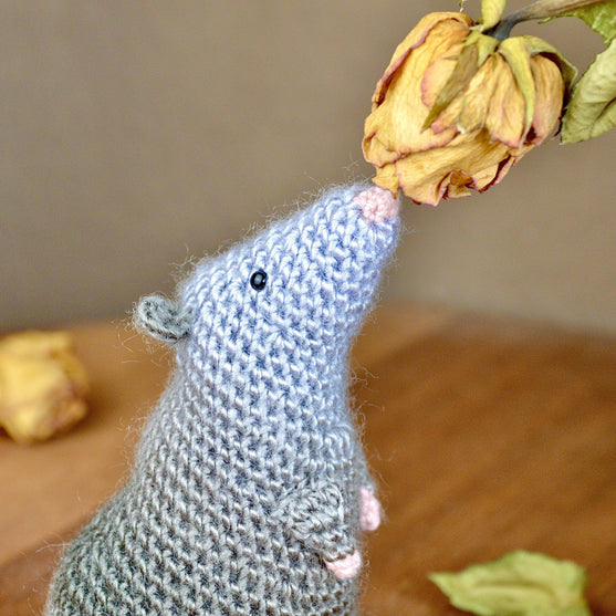 Rüdiger Rat
5