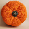 Pumpkin - Play Food
2