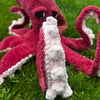 Giant Pacific Octopus
4