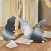 Rüdiger Rat
3