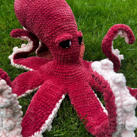 Giant Pacific Octopus
3