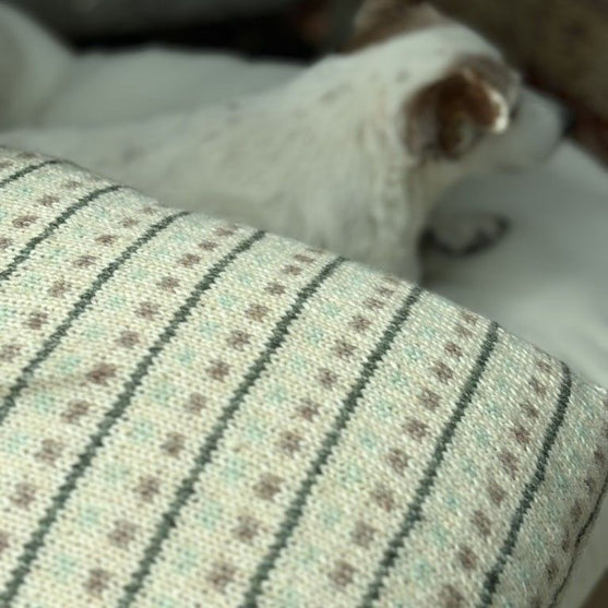 Homebody - Housse de coussin
4