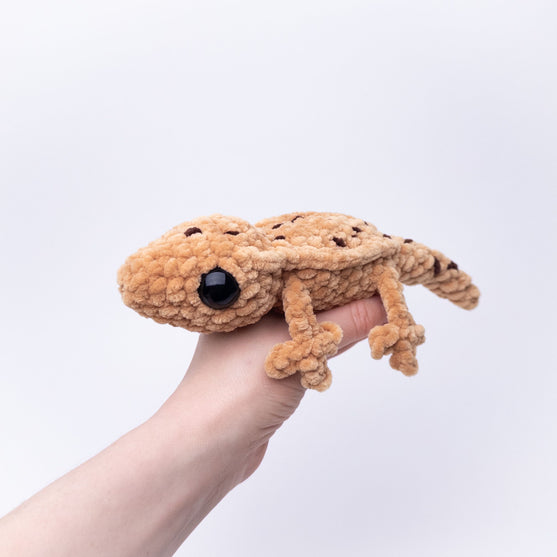 Gavin the Gecko
4
