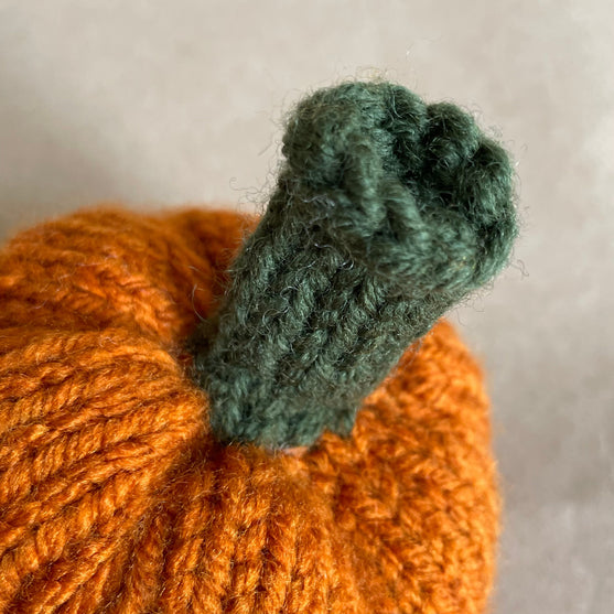 Mini-citrouilles - Petites courges de décoration
4