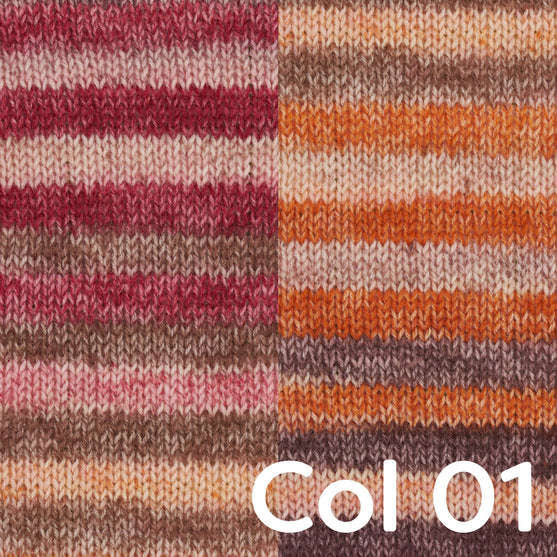 Regia 4-ply Color Himmelszelt (Edition Limitée) - Regia
2
