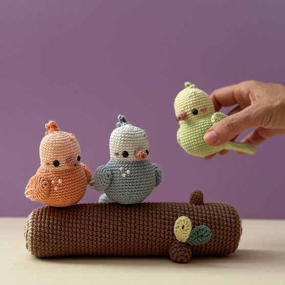 Spring Birds
3
