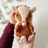 Armando Armadillo
2
