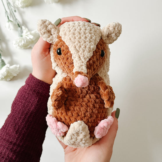 Armando Armadillo
2