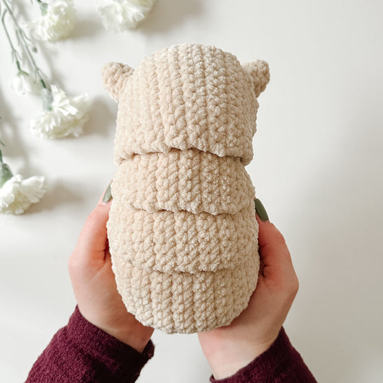 Armando Armadillo
3